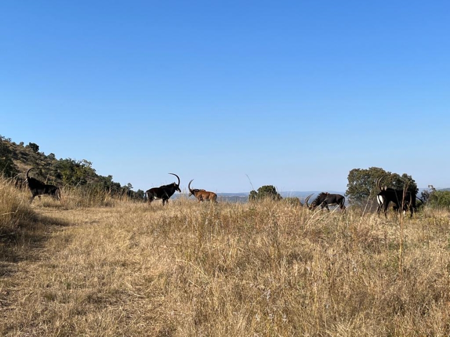 Commercial Property for Sale in Swartruggens North West